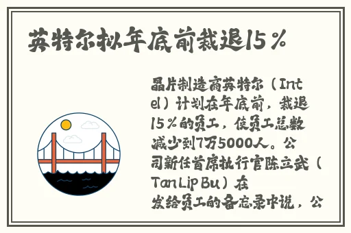 ysl蜜桃色黄