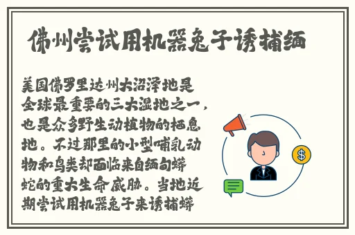 小洞饿**想吃大肠